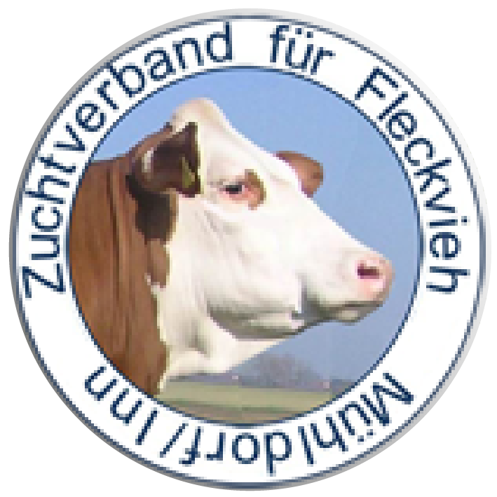 Zurück zur Startseite